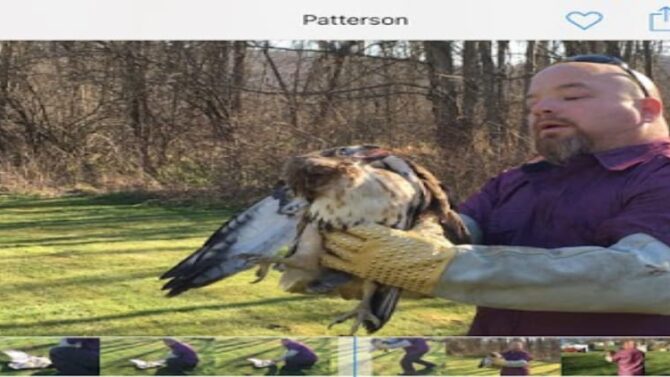 Flying Squirrel Exclusion Greenwich