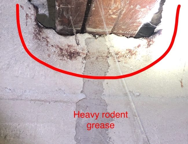 Heavy Rodent Grease